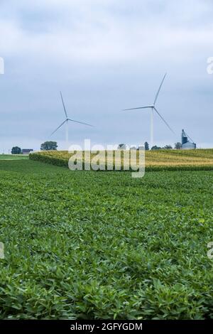 In Der Nähe Von Earlville, Iowa. Behälter für Windmühlen und Getreidelager. Sojabohnen im Vordergrund, Mais im Hintergrund. Stockfoto