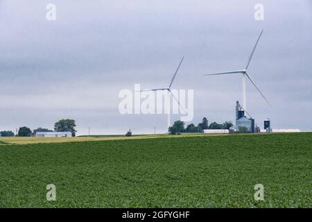 In Der Nähe Von Earlville, Iowa. Behälter für Windmühlen und Getreidelager. Sojabohnen im Vordergrund. Stockfoto