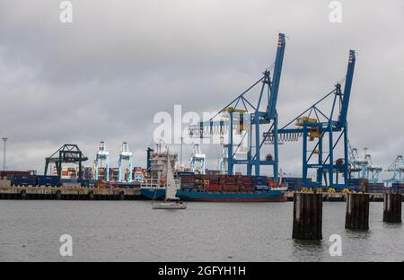Zeebrugge Port, Belgien - 6. August 2021: Weiße Segelyachten passieren vor dem Containerterminal hohe blaue Krane und Schiff, als es zum yac geht Stockfoto
