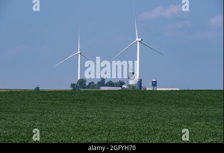 In Der Nähe Von Earlville, Iowa. Behälter für Windmühlen und Getreidelager. Sojabohnen im Vordergrund. Stockfoto