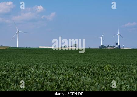 In Der Nähe Von Earlville, Iowa. Behälter für Windmühlen und Getreidelager. Sojabohnen im Vordergrund. Stockfoto