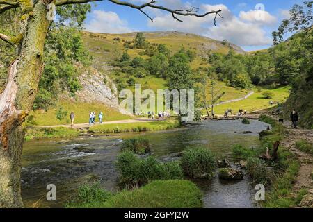 Dovedale an der Grenze zwischen Staffordshire und Derbyshire am Fluss Dove, England, Großbritannien Stockfoto