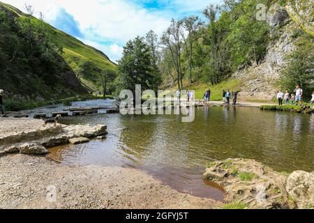 Die Trittsteine in Dovedale an der Grenze zwischen Staffordshire und Derbyshire am Fluss Dove, England, Großbritannien Stockfoto