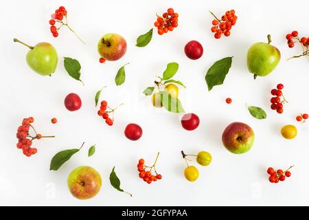 Stilvolle Komposition aus bunten Früchten und Beeren. Draufsicht auf weißem Hintergrund. Herbst flach liegen Stockfoto