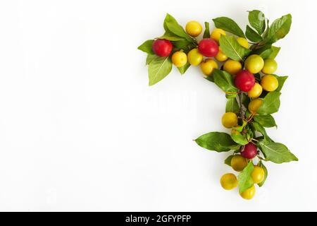 Stilvolle Komposition aus bunten Früchten. Draufsicht auf weißem Hintergrund. Herbst flach liegen Stockfoto