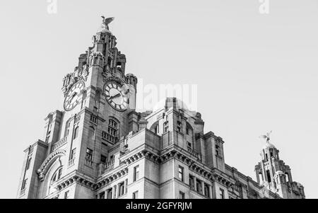 Monochromes HDR-Bild des Royal Liver Building, das die Skyline von Liverpool dominiert, gesehen im August 2021. Stockfoto