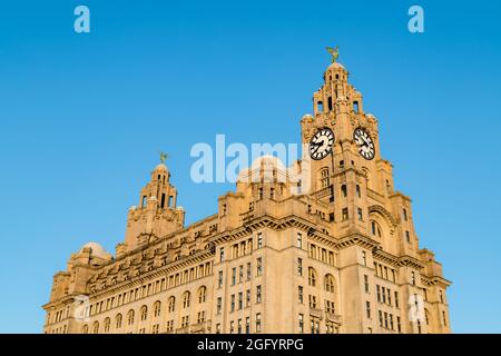 Das Royal Liver Building am Liverpooler Ufer wurde in der Abenddämmerung im August 2021 in goldenes Licht getaucht. Stockfoto