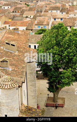 Baum und Dächer, Aigues-Mortes, Gard, Frankreich Stockfoto