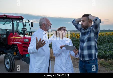 Zwei Agronomen in weißen Mänteln diskutieren im Sommer mit jungen Bauern vor Traktor und Sonnenblumenfeld Stockfoto