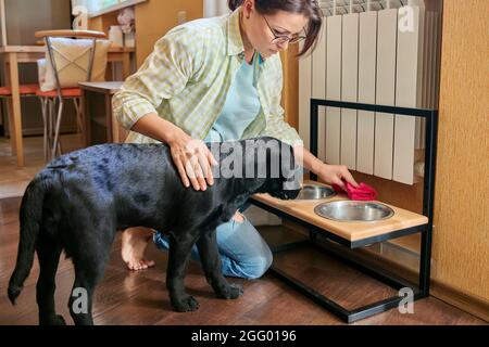 Frau und Hund mittleren Alters zu Hause in der Küche Stockfoto