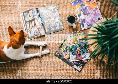 Lesen von Comic-Büchern und Manga auf dem Teppich bei Cosy Home. Stockfoto