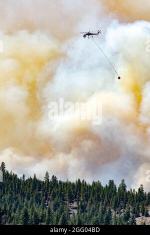 Ein Hubschrauber wirft Wasser auf den Beckwourth Complex Fire 8. Juli 2021 in der Nähe des Frenchman Lake in Nordkalifornien. Zusätzlich zu anderen Ressourcen, drei Air National Guard C-130s - zwei aus Nevada und eine aus Kalifornien werden bei der Bekämpfung des Beckwourth Complex Fire in Nordkalifornien helfen, aktivierte der USDA Forest Service die mit MAFFS ausgerüsteten Flugzeuge der Air Force C-130 durch eine Anfrage des Verteidigungsministeriums um Hilfe. Die aktuelle Aktivierung läuft bis zum 26. Juli 2021. Stockfoto