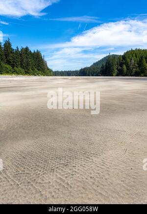 Blick auf den weißen Sandstrand in der San Josef Bay, Cape Scott Provincial Park, Vancouver Island, BC, Kanada Stockfoto