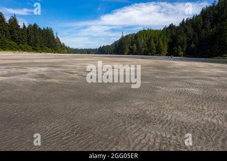 Blick auf den Sandstrand San Josef Bay, Cape Scott Provincial Park, Vancouver Island, BC, Kanada Stockfoto