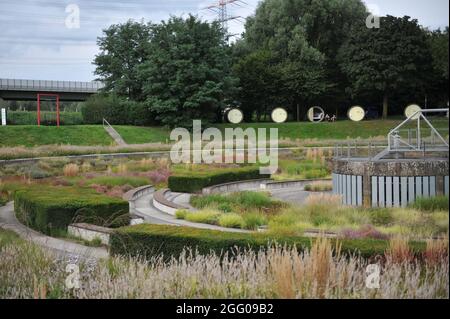 BOTTROP, DEUTSCHLAND - 21. AUGUST 2021: Bepflanzung im mehrjährigen Wiesenstil, entworfen von Piet Oudolf im öffentlichen Park Bern Stockfoto