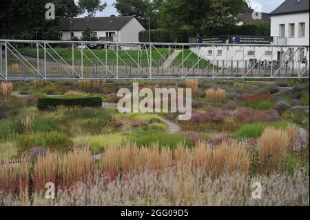 BOTTROP, DEUTSCHLAND - 21. AUGUST 2021: Bepflanzung im mehrjährigen Wiesenstil, entworfen von Piet Oudolf im öffentlichen Park Bern Stockfoto