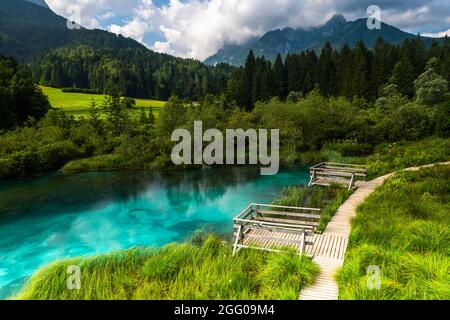 Naturschutzgebiet Zelenci in Slowenien. Alpenteich in Kranjska Gora . Stockfoto