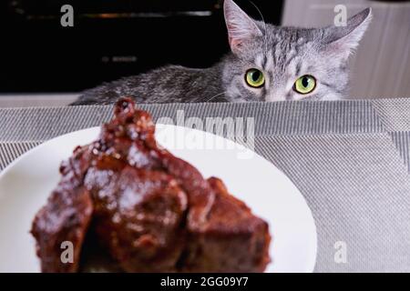 Katze sieht den Mann an. Vor dem Haustierteller mit einem großen Stück Fleisch. Die Nahaufnahme der Katze hat Angst, in der Küche zu essen. Stockfoto