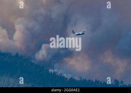 Ein Flugzeug der Air National Guard C-130 bereitet sich darauf vor, am 9. Juli 2021 in der Nähe des Frenchman Lake, Kalifornien, feuerhemmend auf den Beckwourth Complex Fire zu fallen. Stockfoto