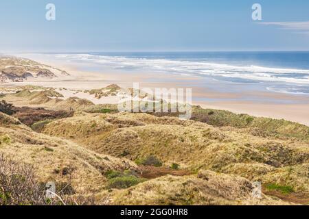 Baker Beach, Oregon, USA. Grüne Dünen und ein Sandstrand an der Küste von Oregon. Stockfoto