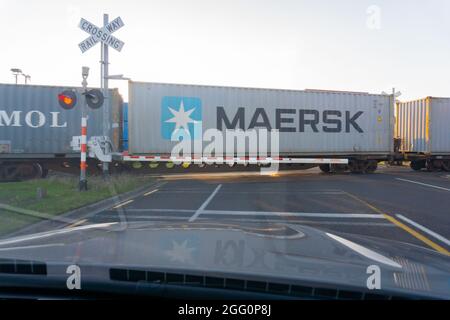 Tauranga Neuseeland - Januar 6 2016; Maersk-Container im Zug passieren Bahnübergang, während die Schranke heruntergefahren ist und Autos warten. Stockfoto