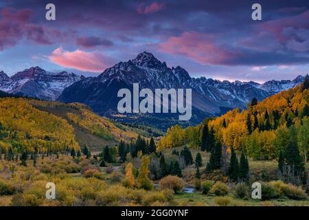 Dawn, Aspen, Willow Sumpf, Mount Sneffels, Dallas Divide, Uncompahgre National Forest, Colorado Stockfoto