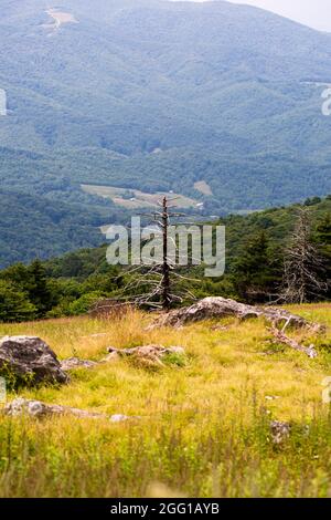 Blick vom Whitetop Mountain in den Appalachian Mountains in Virginia Stockfoto