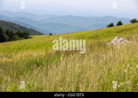 Blick vom Whitetop Mountain in den Appalachian Mountains in Virginia Stockfoto