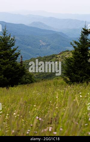 Blick vom Whitetop Mountain in den Appalachian Mountains in Virginia Stockfoto