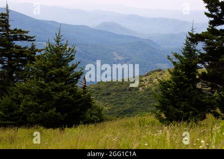 Blick vom Whitetop Mountain in den Appalachian Mountains in Virginia Stockfoto