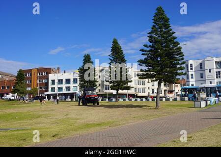 Blick vom Bondi Beach auf die Campbell Parade und einen Police Beach Buggy, der während des Lockdown auf dem Rasen geparkt ist Stockfoto