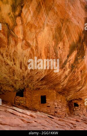 House on Fire, Puebloan Cliff Wohnung in Mule Canyon auf Cedar Mesa. Stockfoto