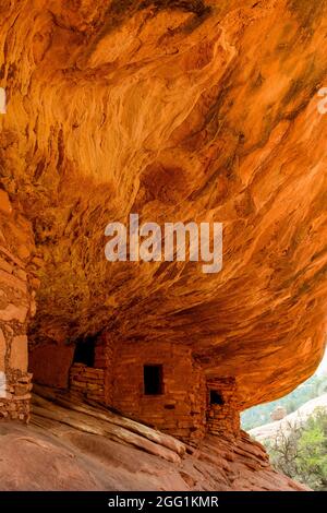 House on Fire, Puebloan Cliff Wohnung in Mule Canyon auf Cedar Mesa. Stockfoto