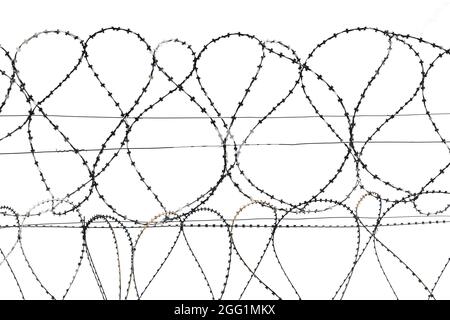 Stacheldraht isolieren. Coils aus Stahldraht mit Stacheldraht auf weißem Hintergrund. Hochwertige Fotos Stockfoto