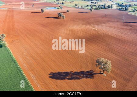 Luftaufnahme von fruchtbarem Ackerland in der Nähe von Cowra im zentralen Westen von NSW Australien Stockfoto