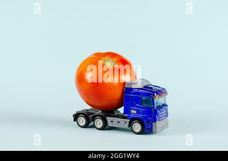 Spielzeug-Traktor transportiert ein Gemüse. Blauer Plastikwagen und eine reife rote Tomate. Blauer Hintergrund. Lkw-Transport. Selektiver Fokus. Stockfoto