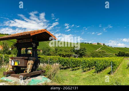 Blick über Weinberge und Hügel in Escherndorf im fränkischen Weinland rund um den Main Stockfoto