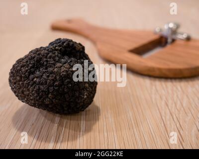 Italienischer schwarzer Sommertrüffel oder Tarfufo Nero Estivo mit Slicer Stockfoto