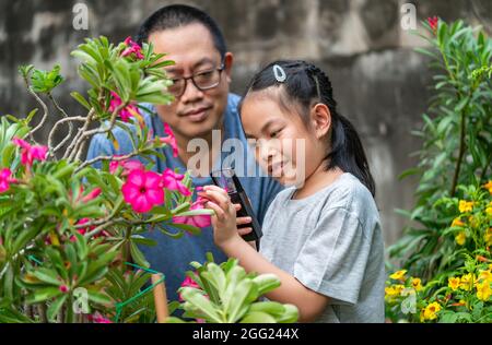 Asiatisches Mädchen, das mit dem Vater eine schöne Blume in einem Garten untersucht und dabei eine Lupe verwendet. Stockfoto