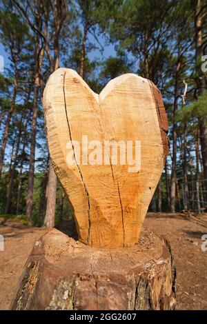 Ein handgefertigtes geschnitztes Holzherz in einen Baumstamm, ein Stück Holz in eine hölzerne Herzkunst verwandelt Stockfoto