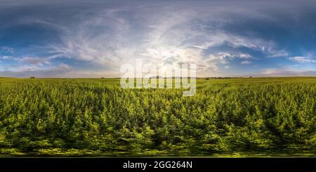 360 hdr-Panorama unter Ackerfeldern mit atemberaubenden Sonnenuntergangswolken voll nahtloses spherical hdri-Panorama in äquirectangular Projektion, ready AR VR virt Stockfoto