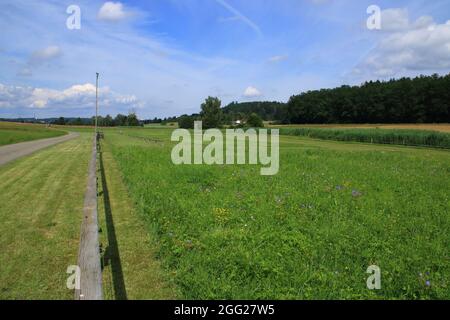 Flugplatz für Modellflugzeuge bei Magstadt im Landkreis Böblingen Stockfoto