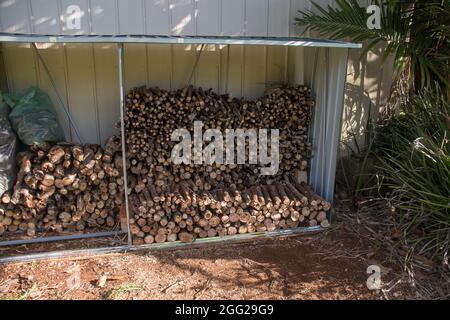 Lagerschuppen mit Holzstapeln, Holzstämmen, gewürzt und bereit, in Holzofen zu verwenden. Winter, Garten in Queensland, Australien. Stockfoto