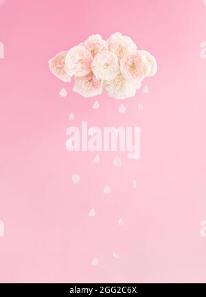 Pastellrosa Wolken und Regen aus Rosen und Blütenblättern. Frauen Tag Konzept oder Blumen Tag. Kreative minimal Mädchen Komposition. Stockfoto