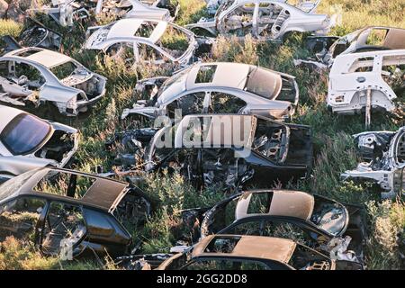 Autoabzug. Ein Haufen alter fauler Autos auf dem Feld. Draufsicht Stockfoto