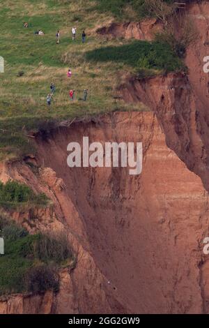 Sidmouth, Devon, Großbritannien. August 2021. Mitglieder der Öffentlichkeit stehen gefährlich nahe am Rand der zerfallenden Klippen, während sie die roten Pfeile der RAF beobachten, wie sie eine farbenfrohe Schau über Sidmouth, Devon, zeigen. Die Klippen von Sidmouth sind an diesem Ort in den letzten 4-6 Wochen etwa ein halbes Dutzend Mal eingestürzt. Quelle: Ian Williams/Alamy Live News Stockfoto