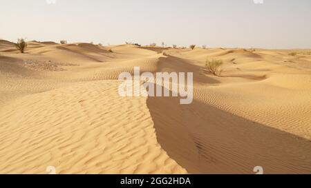 Wüstenlandschaft mit Dünen in der Sahara-Wüste bei Douz, Tunesien. Stockfoto