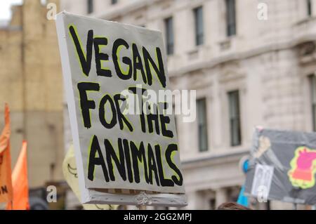 London, England. August 2021. Animal Rebellion Protestierende auf dem Smithfield-Markt, die an einem Tierrechtsmarsch im Rahmen der UK Rebellion von Extinction Rebellion teilnehmen. Kredit: Jessica Girvan/Alamy Live Nachrichten Stockfoto