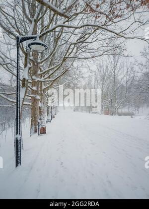 Frostiger Wintermorgen im Park, bedeckt mit flauschigem weißem Schnee. Schöne Szene, kalte Jahreszeit, Schneefall Atmosphäre auf dem Platz. Ruhig und friedlich Stockfoto