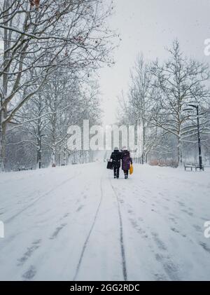 Zwei Frauen mittleren Alters, die Beutel tragen, gehen durch den Schneefall entlang der Gasse im Winterpark. Wunderbare Schneeszene auf der Straße. Kalt s Stockfoto